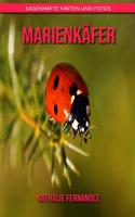 Marienkäfer: Sagenhafte Fakten und Fotos