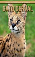 Gato cerval