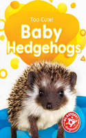 Baby Hedgehogs: (Too Cute!)
