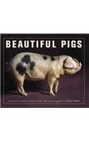 Beautiful Pigs