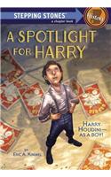 A Spotlight for Harry