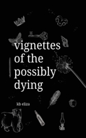 Vignettes of the Possibly Dying