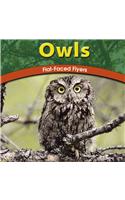 Owls