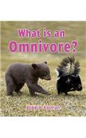 What is an Omnivore