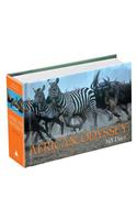 African Odyssey: 365 Days