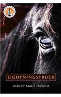 Lightningstruck
