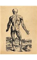 Anatomy Notebook: Andreas Vesalius - Skinless Man Muscles 09 - Premium College Ruled Notebook 110 Pages