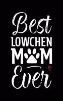 Best Lowchen Mom Ever