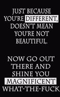 Just Because You're Different, Doesn't Mean You're Not Beautiful. Now Go Out There and Shine You Magnificent What-the-Fuck: A Dot Grid Journal