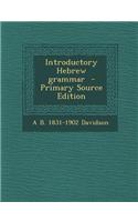 Introductory Hebrew Grammar - Primary Source Edition