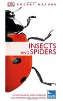 Insects (Pocket Nature)