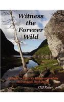 Witness the Forever Wild, A Guide to Favorite Hikes around the Adirondack High Peaks