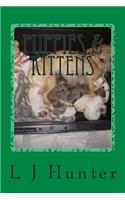 Puppies & Kittens