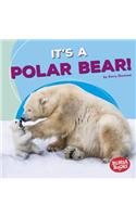 It's a Polar Bear!
