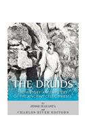 Druids: The History and Mystery of the Ancient Celtic Priests