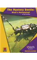 Mystery Beetle: What's Multiplying?