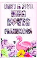 Just A Girl Who Loves Flamingos
