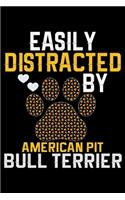 Easily Distracted by American Pit Bull Terrier