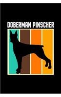 Doberman Pinscher