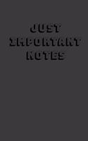 Just important notes notebook