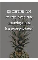 Be careful not to trip over my amazingness. It's everywhere. Notebook