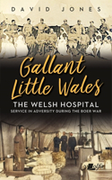 Gallant Little Wales: The Welsh Hospital for South Africa