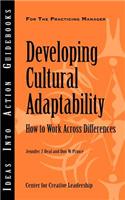 Developing Cultural Adaptability