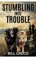 Stumbling into Trouble
