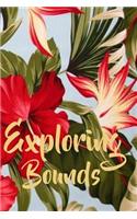 Exploring Bounds: Journal