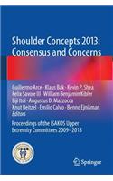 Shoulder Concepts 2013: Consensus and Concerns
