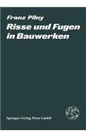 Risse Und Fugen in Bauwerken