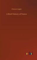 A Brief History of Panics