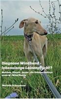 Diagnose Windhund - lebenslange Leinenpflicht?