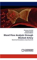 Blood Flow Analysis through Blocked Artery