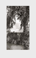 Robert Adams: Cottonwoods