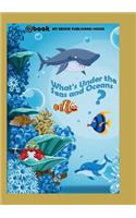 What's Under the Seas and Oceans?