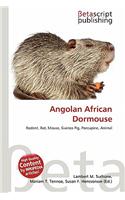 Angolan African Dormouse