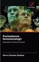 Pochodzenie fenomenologii