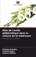 Rôle de l'acide gibbérellique dans la culture de la tubéreuse