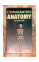Comparative Anatomy