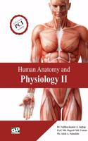 Human Anatomy and Physiology II