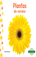 Plantas de Verano (Summer Plants)
