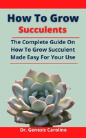 How To Grow Succulents