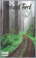 Redwood Forest 2021 Calendar: Official Redwood Forest Wall Calendar 2021, 18 Months