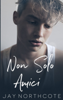 Non solo amici