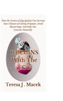 It All Begins With The Egg