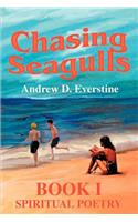 Chasing Seagulls