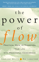 Power of Flow: Practical Ways to Transform Your Life with Meaningful Coincidence