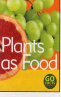 Plants as Food