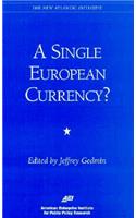 Single European Currency?